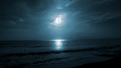 Poster Full moon over the sea. Beach night landscape © Johnster Designs