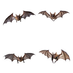 Beautiful Bat set isolated on a white background. Generative AI