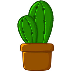 cactus in a pot