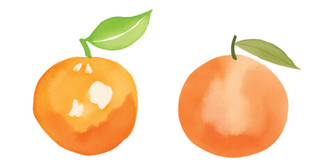 cute orange watercolor vector illustration