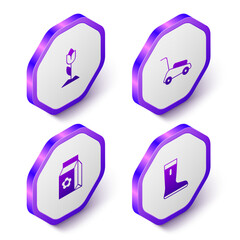 Set Isometric Flower tulip, Lawn mower, Pack full of seeds and Waterproof rubber boot icon. Purple hexagon button. Vector