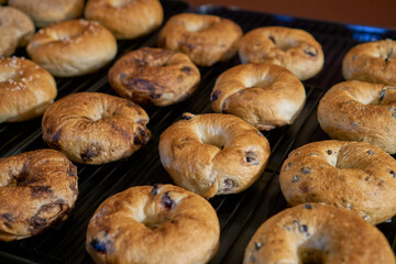 Many bagels in the bakery