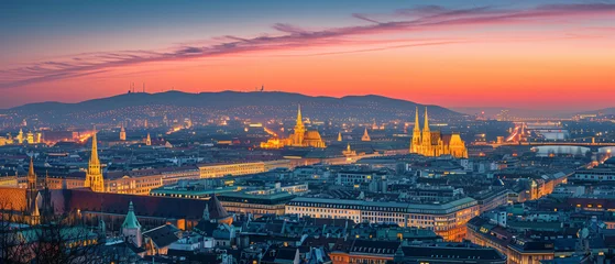 Foto op Plexiglas Vienna City Beautiful Panorama view © Mishi