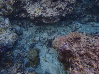 view of underwater colour with deep blues in sumatra indonesia