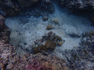 view of underwater colour with deep blues in sumatra indonesia