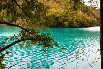 emerald water in the lake