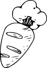 Hand drawn carrot illustration on transparent background.
