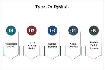 Five types of dyslexia - Phonological, Rapid naming Deficit, Surface, Visual, Double deficit. Infographic template with icons - obrazy, fototapety, plakaty