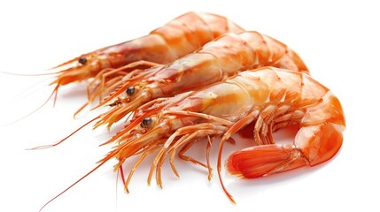 set of boiled prawns. Isolated on a white background