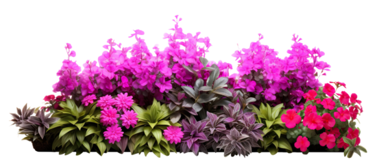 Garden flowers cut out