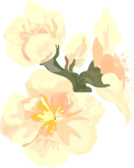 Foto op Canvas Flower  watercolor illustration on transparent background.  © OneyWhyStudio