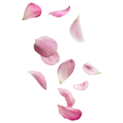 Zelfklevend Fotobehang pink rose petals © ちはる 宮﨑