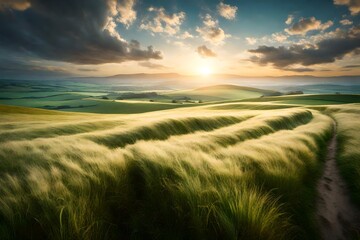 A serene countryside scene, with gentle waves of grass stretching towards a distant horizon under a calm and cloud-filled sky.