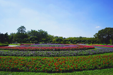 Decorate the garden with round shrubs and various beautiful flowering plants.