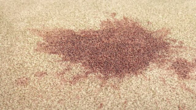 Stain On Carpet Moving Shot
