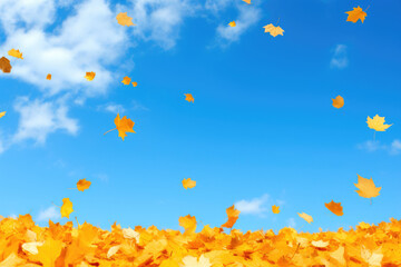 Nature's Palette: Warm Tones in Autumn Sunshine