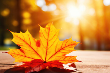 Naklejka na ściany i meble A Golden Symphony: Leaves Flutter in Autumn Sunshine