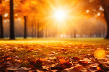 Naklejka na ściany i meble Sunlit Canopy: Golden Leaves on a Perfect Autumn Day
