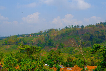 Landscape Photography. Landscape View. Scenic Nature Green and fertile hillsides. Beautiful hill...