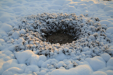 Interesting lumpy snow surface around the hole.