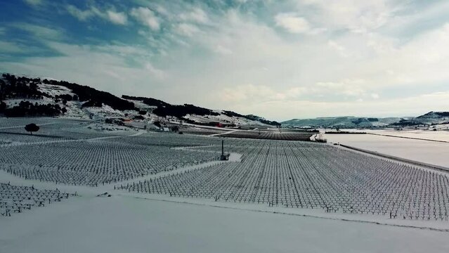 Vi&ntilde;edos con nieve en Valladolid