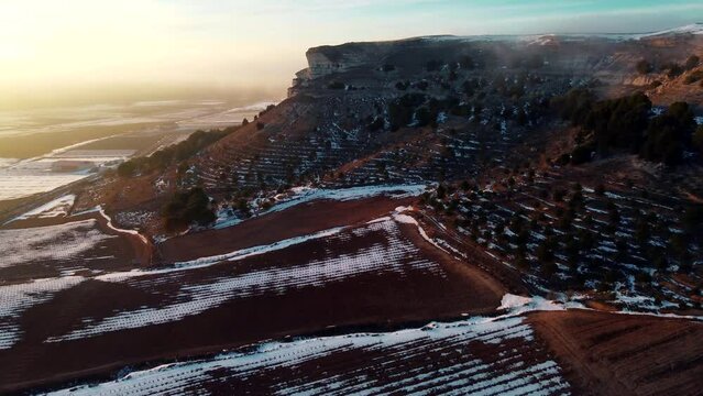 Vi&ntilde;edos con nieve en Valladolid