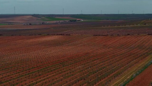 Vi&ntilde;edos en la provincia de Valladolid 