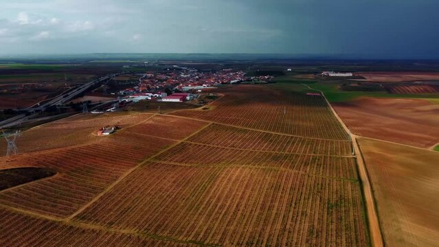 Vi&ntilde;edos en la provincia de Valladolid 