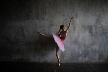 Ballerina in a tutu in a ballet pose.