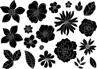 Set of Silhouettes of wild Hand drawn flowers
