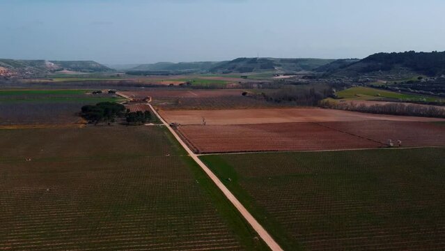 Vi&ntilde;edos en la provincia de Valladolid 