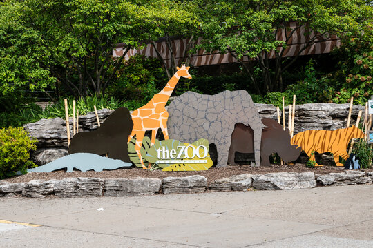 LOUISVILLE, KY, USA - JULY 22, 2018: The Louisville Zoo was created in 1969 on 134 acres of land and features about 1,700 animals.