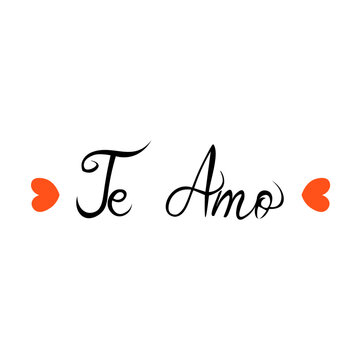 Te amo lettering calligraphy. Vector illustration.