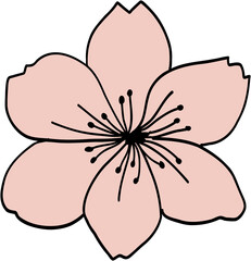 Doodle freehand drawing of cherry blossom flowers.