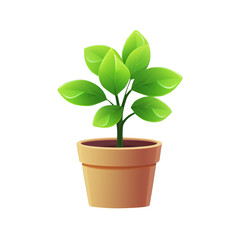 plant in pot on transparent background, clipping path, png, clipart, line art, 