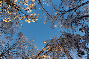 winter 