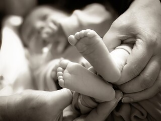 Close-up of Loving Parent Bonding with Newborn Child