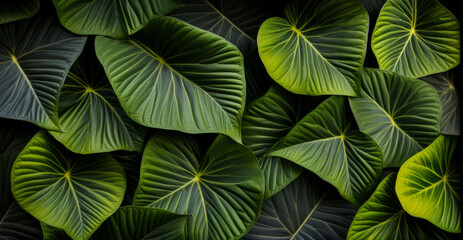 Green leaves create a lush, tropical jungle backdrop with intricate details.