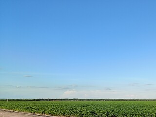 Obraz premium Lavouras