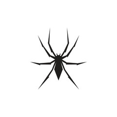Black spider logo template vector icon illustration design