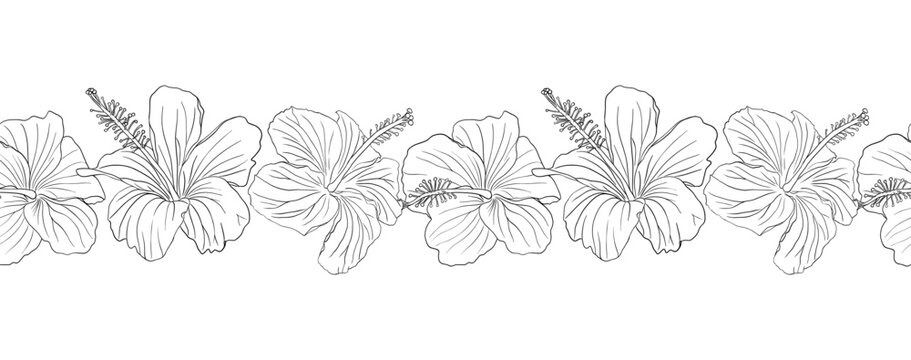 Hibiscus flower with leaves seamless boarder. Can be used for wedding invitations, greeting cards, scrapbook, print, gift wrap, manufacturing Hand drawn line art vector illustration