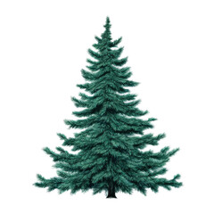 Illustration of a Christmas tree on a white background.