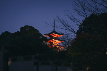 Autumn leaves and temple at night