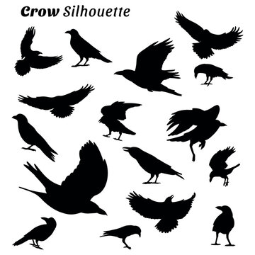 Collection of crow silhouette illustrations