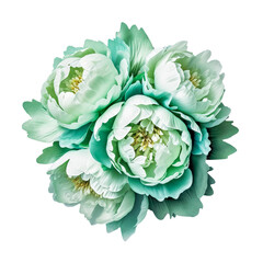 beautiful bouquet of lush fresh delicate mint-colored peonies, isolated, spring gift element, women's day gift