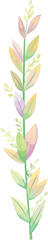 Flower watercolor illustration on transparent background.