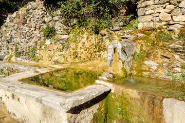 fuente de Sercué , término municipal de Fanlo, Sobrarbe, Huesca, Aragón, cordillera de los Pirineos, Spain