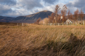casa tipica, valle de Glen Coe ,Geoparque Lochaber, Highlands, Escocia, Reino Unido - obrazy, fototapety, plakaty
