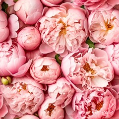seamless background of beautiful delicate flowers of pink peonies, spring gift, holiday of spring and flowering
