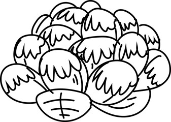 Hand drawn succulent plant illustration on transparent background.
